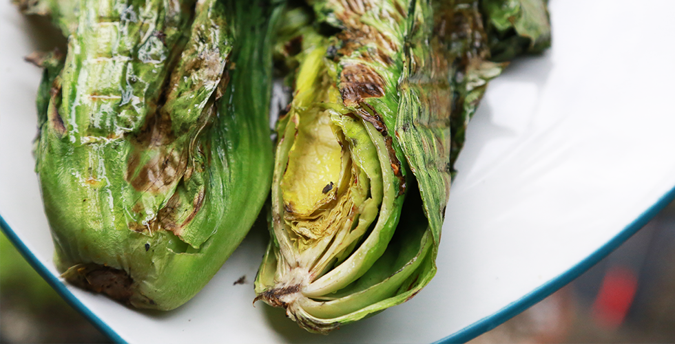 Grilled Chicory